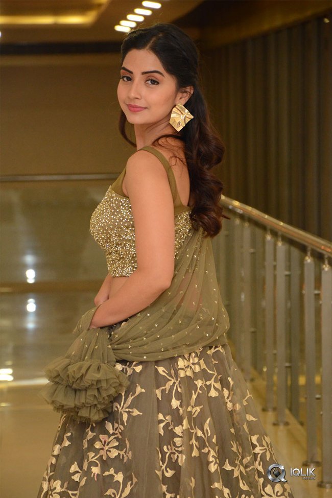 Kashmira-at-Nartanasala-Pre-Release-Event